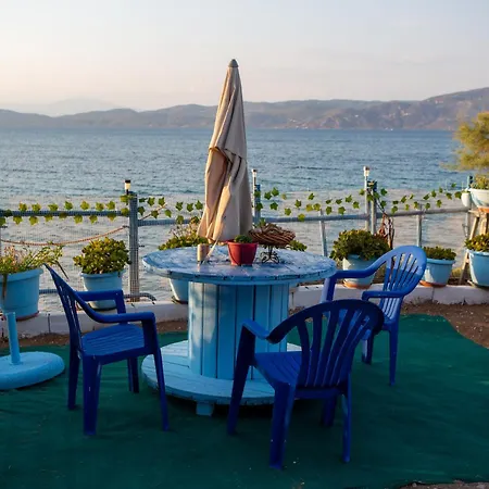 Apartament On The I - Beachfront Family *