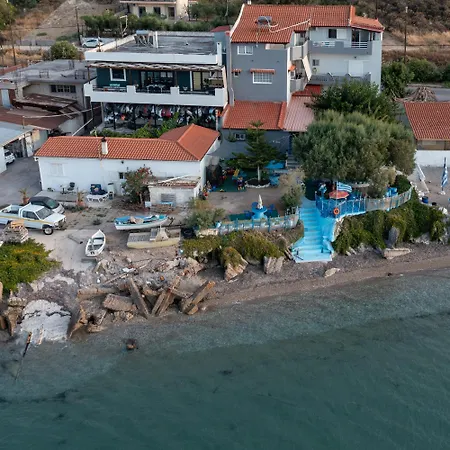 شقة On The I - Beachfront Family *